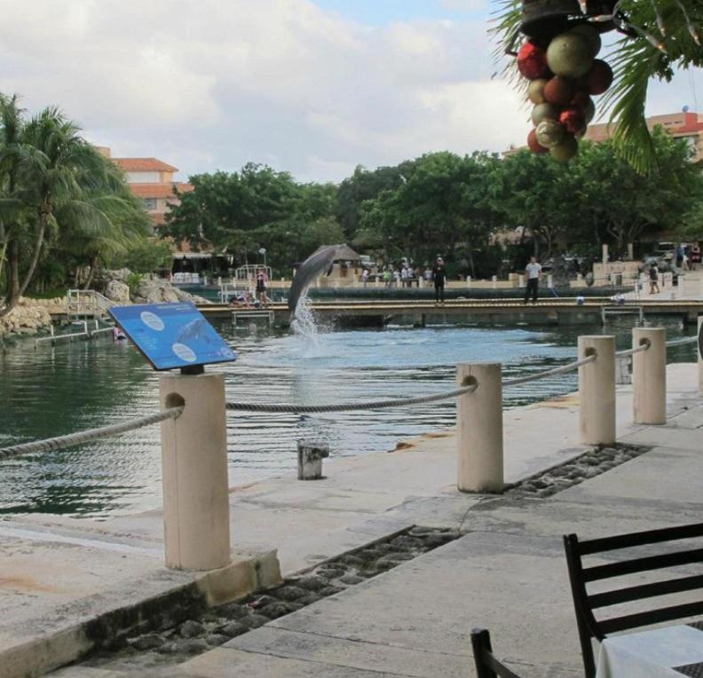Puerto Aventuras, Departamento A Unos Pasos De La Playa Apartman Kültér fotó