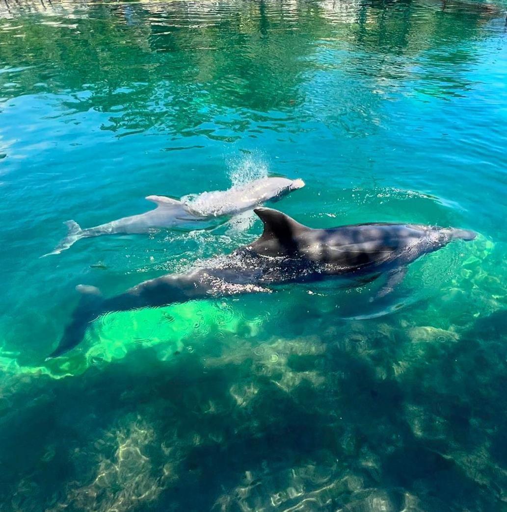 Puerto Aventuras, Departamento A Unos Pasos De La Playa Apartman Kültér fotó