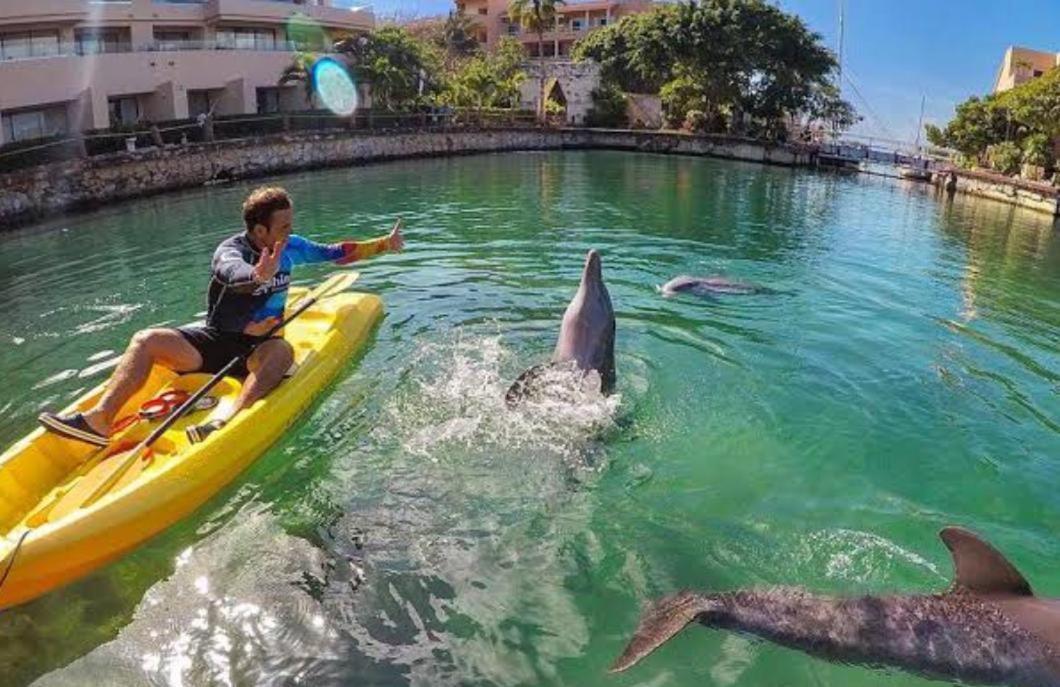 Puerto Aventuras, Departamento A Unos Pasos De La Playa Apartman Kültér fotó